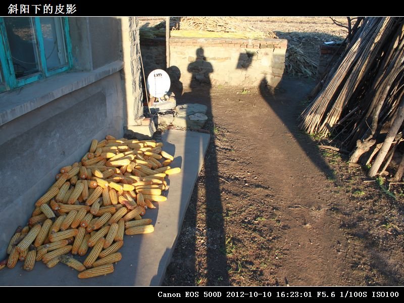 16-斜阳下的皮影IMG_2126.jpg