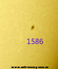 1586.jpg