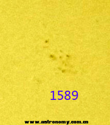 1589.jpg