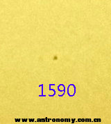1590.jpg