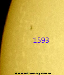 1593.jpg