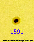 1591.jpg