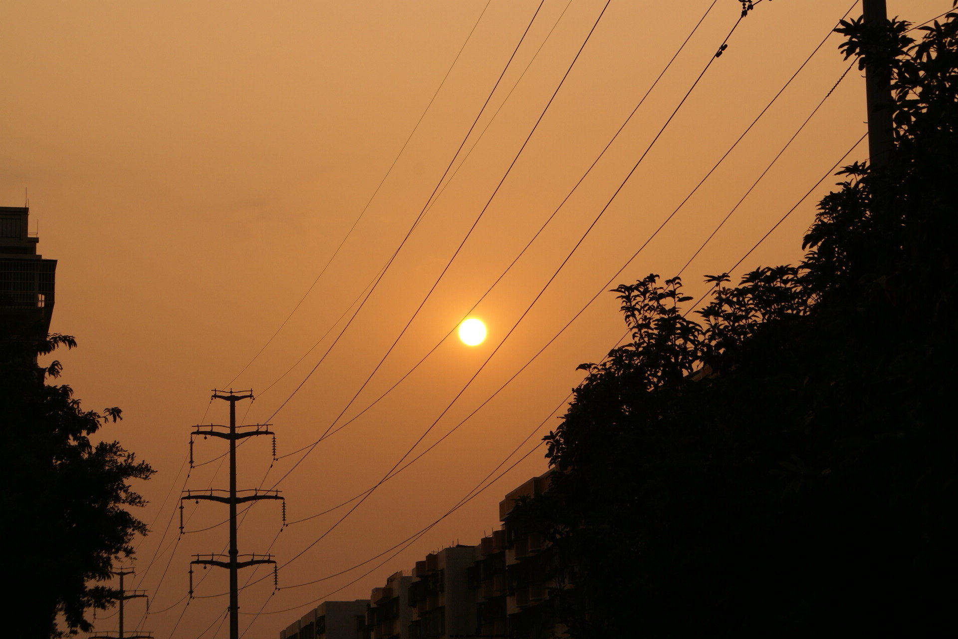 DSC00107.JPG