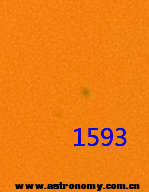 1593.jpg