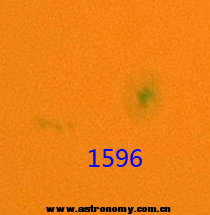 1596.jpg