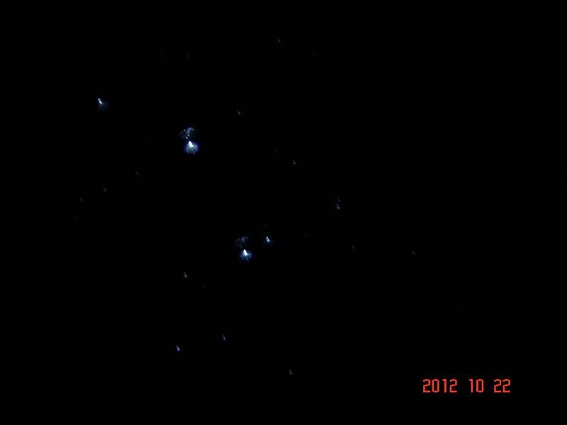 昂星团1.jpg