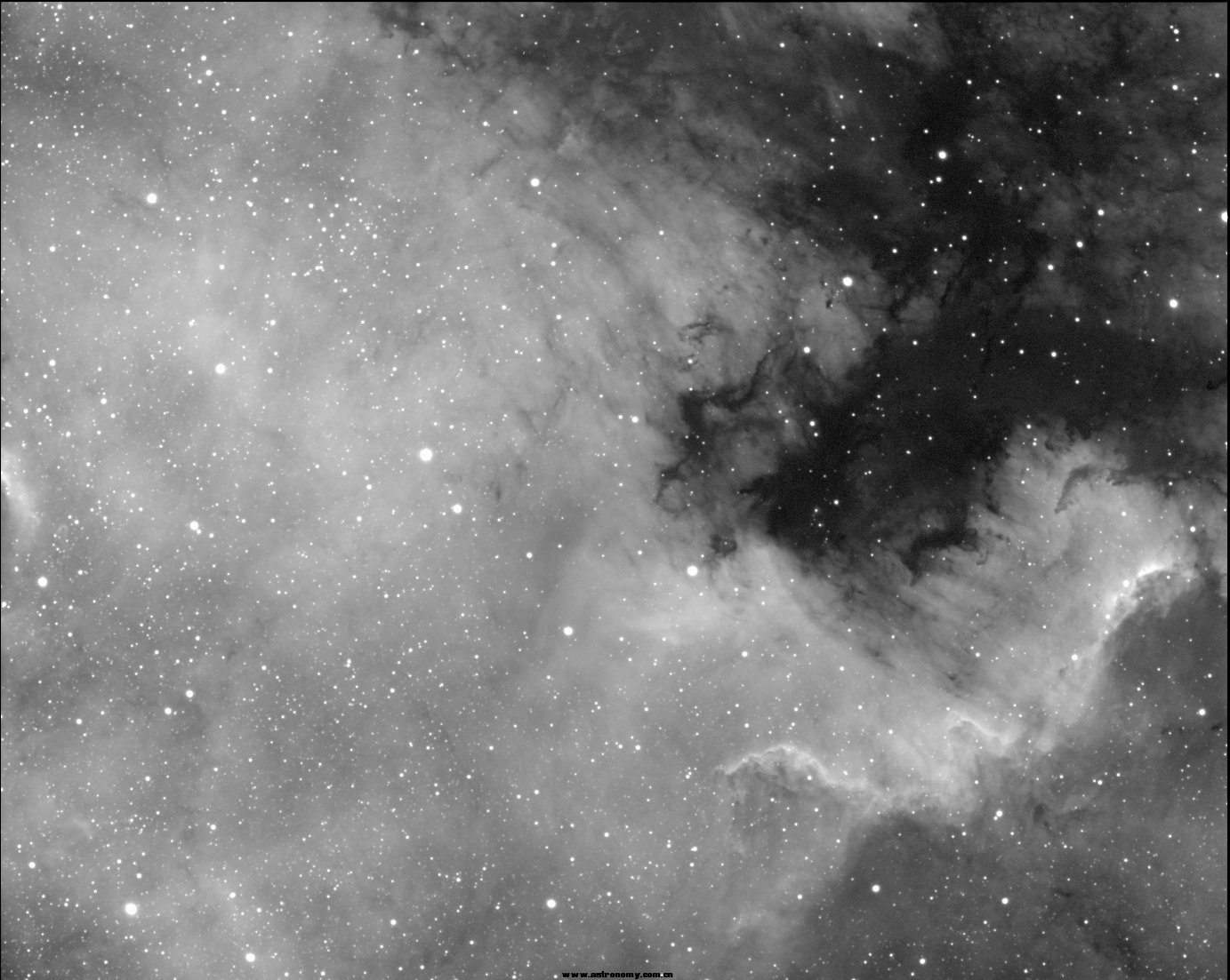 ngc7000-2s.jpg