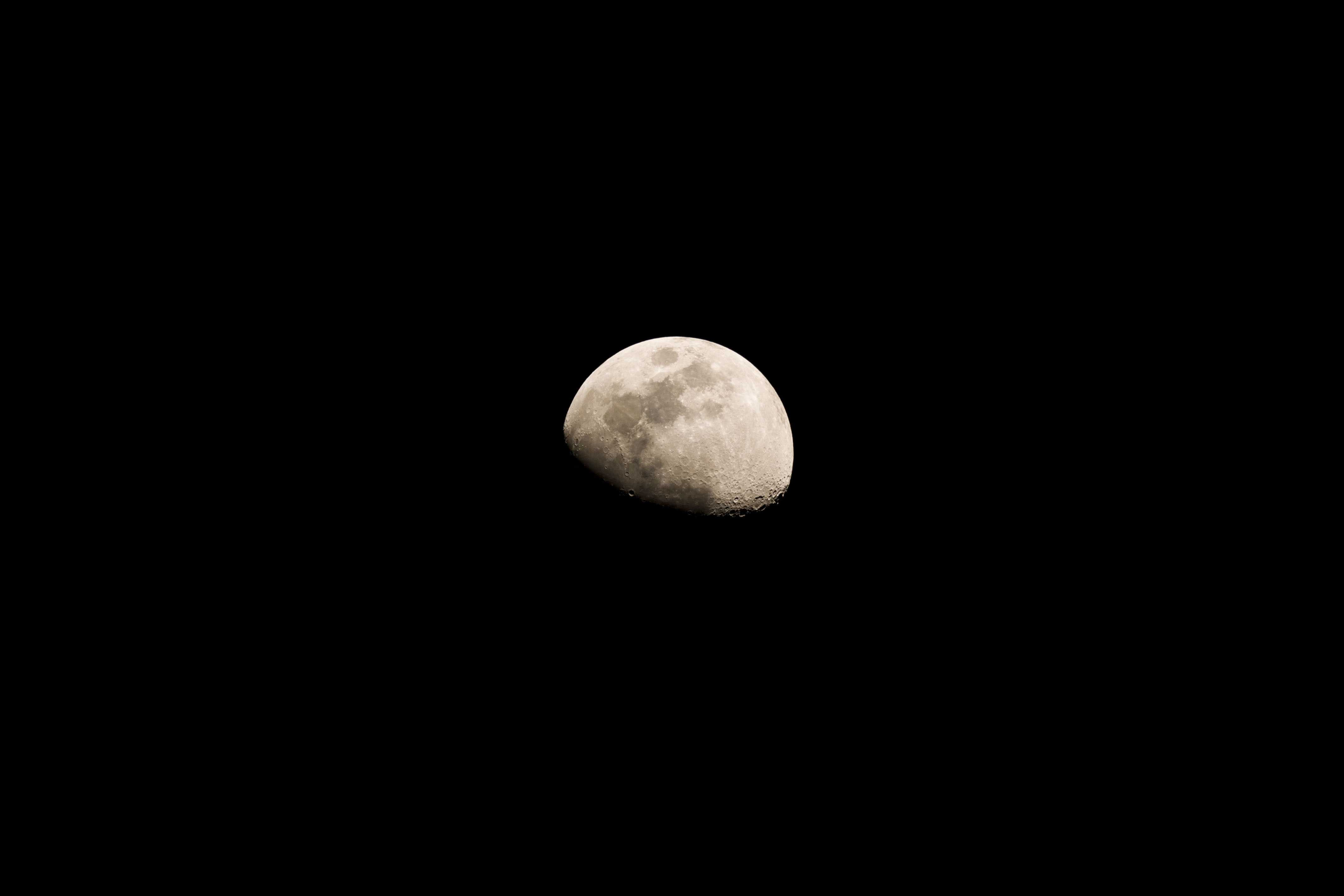 IMG_6850.jpg