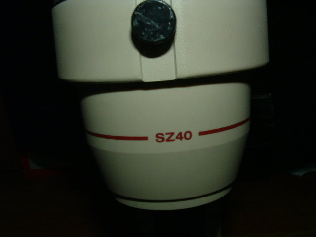DSCF0005.JPG