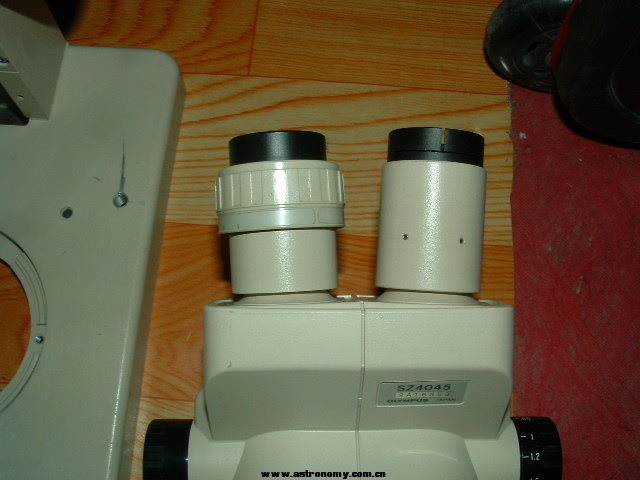DSCF0024.JPG