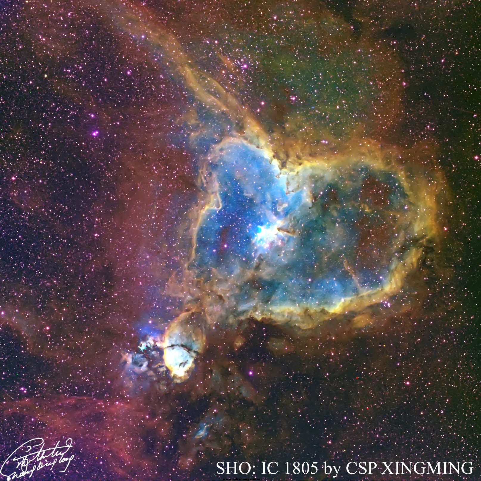 ic1805s2.jpg