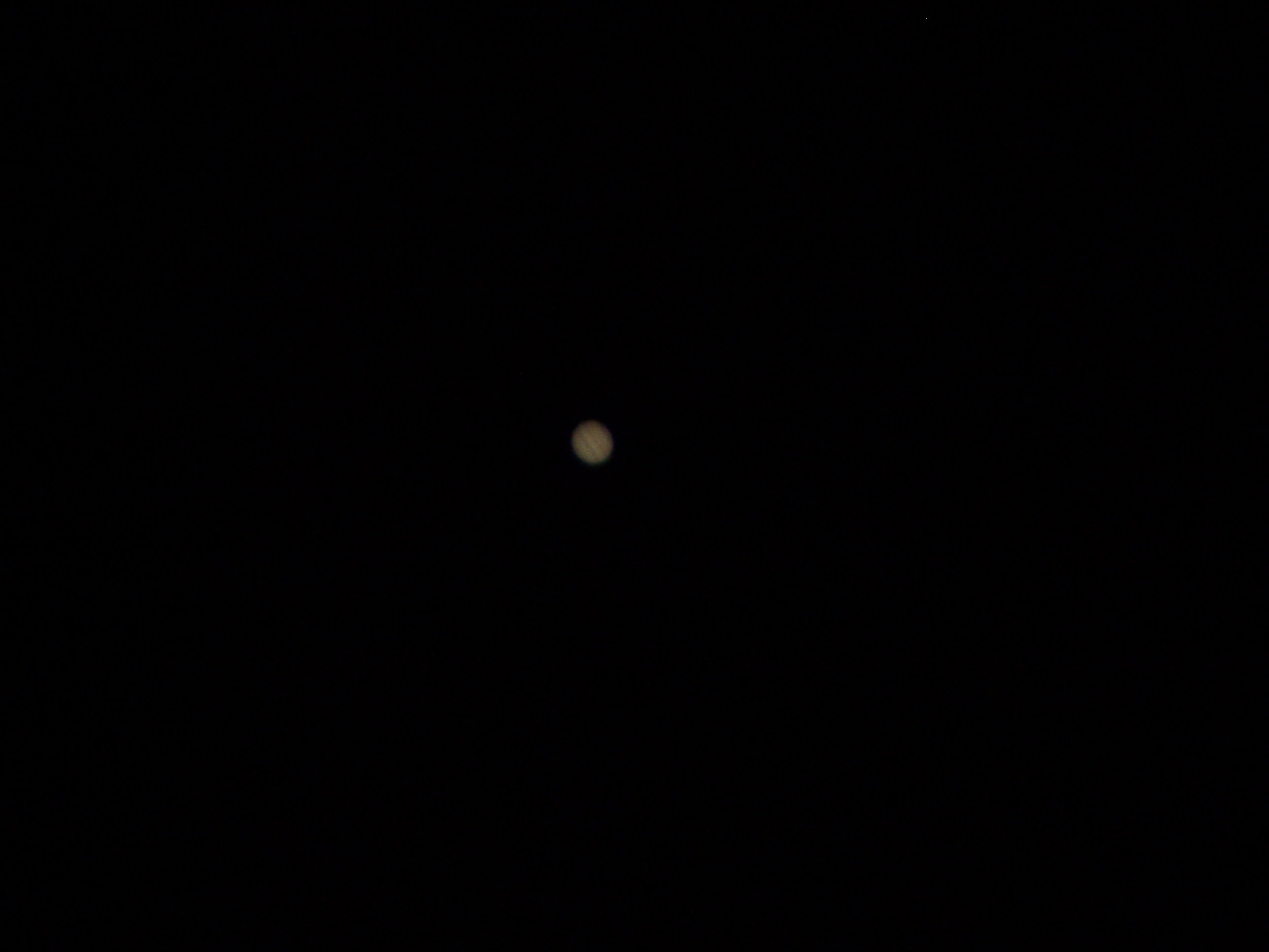 100_1453.JPG