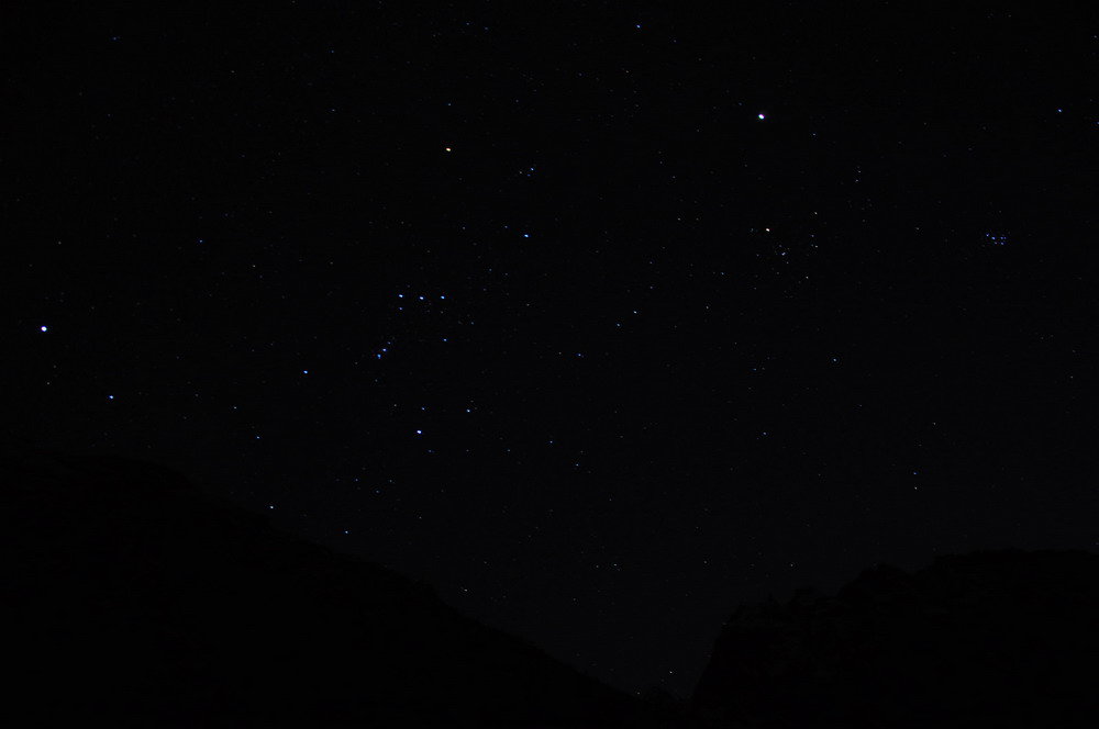 DSC_3231.jpg