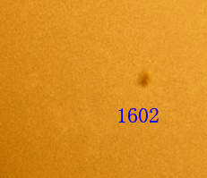 1602.jpg