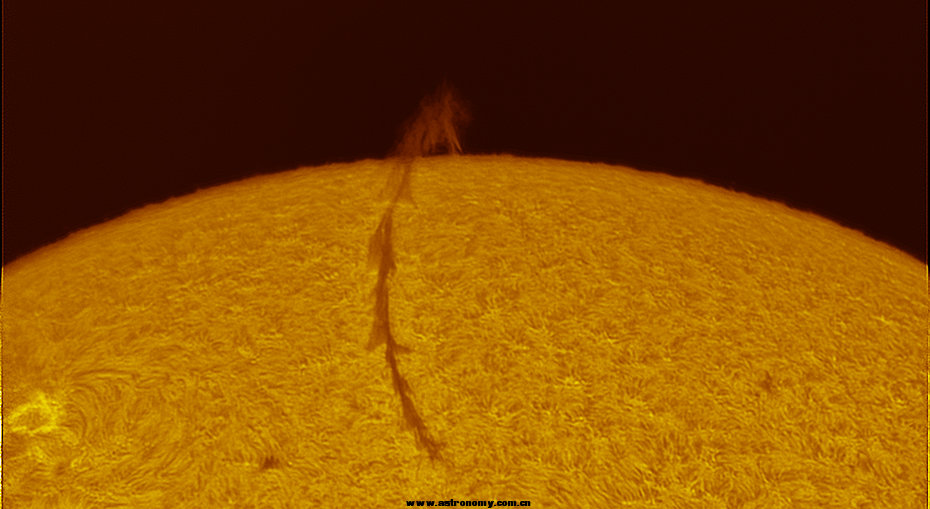 sun99.jpg