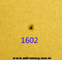 1602.jpg