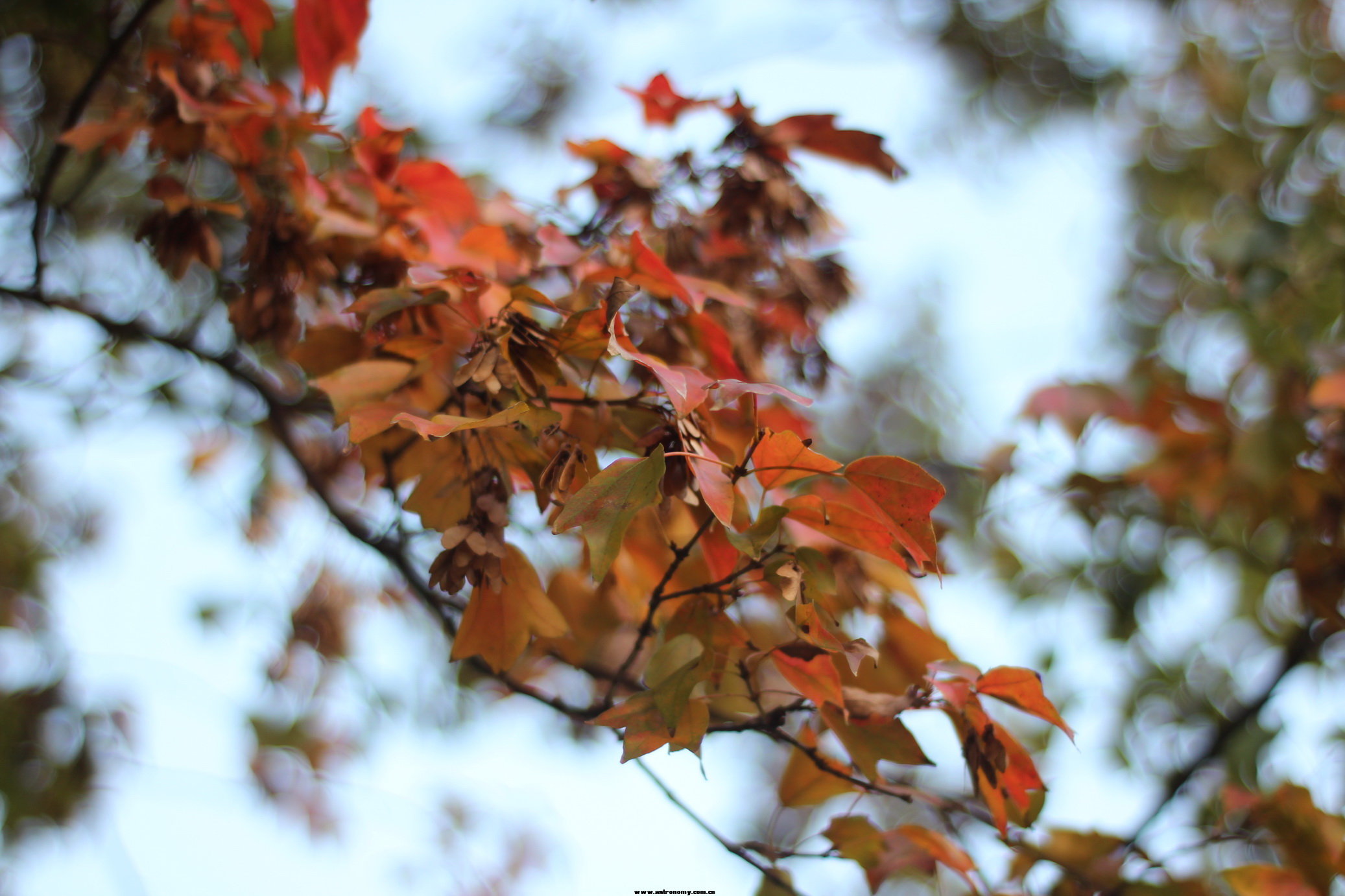 IMG_9751_调整大小.JPG