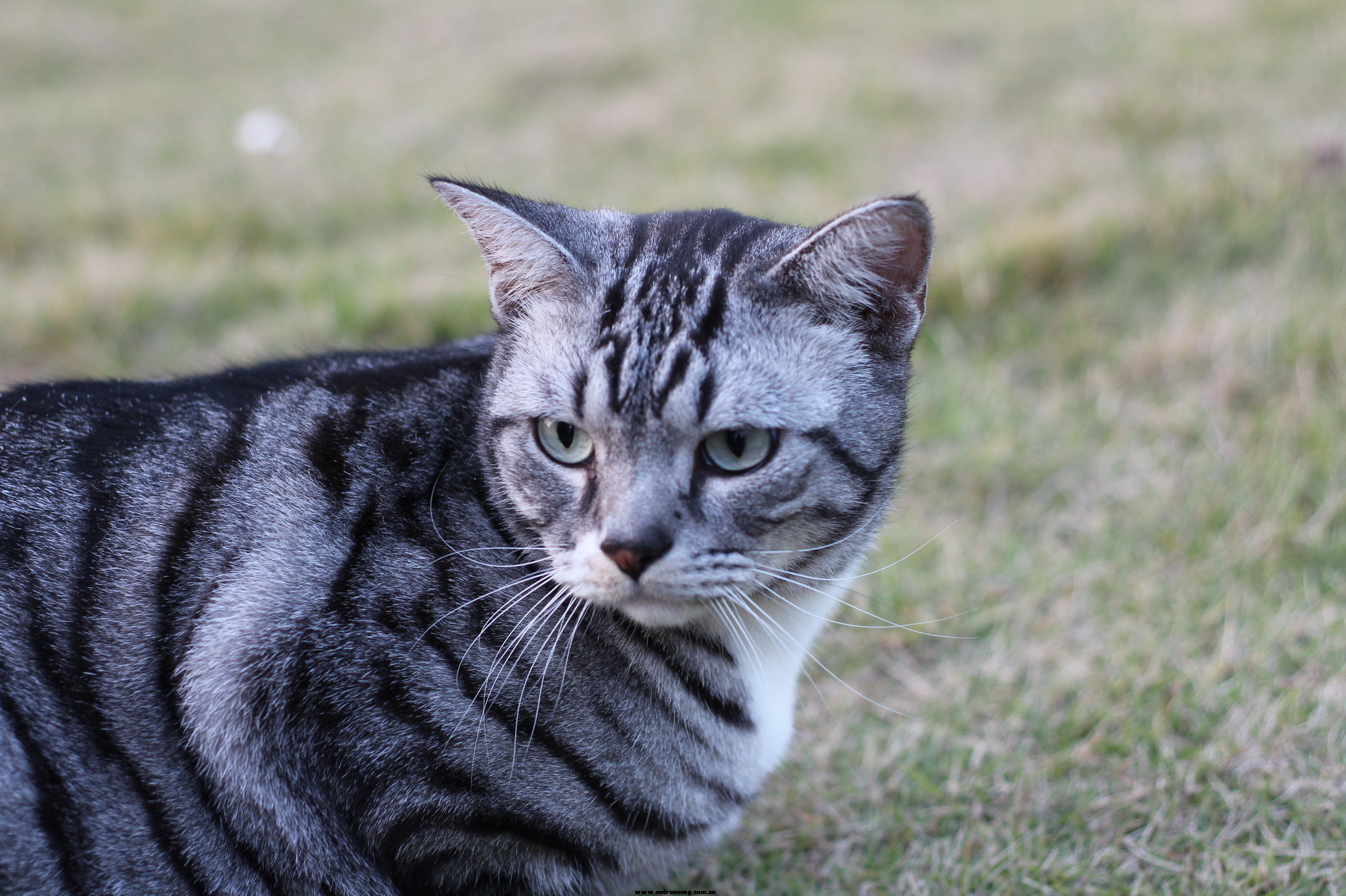 IMG_9773_调整大小.JPG