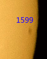 1599.jpg