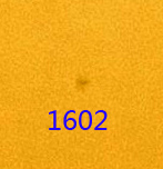 1602.jpg