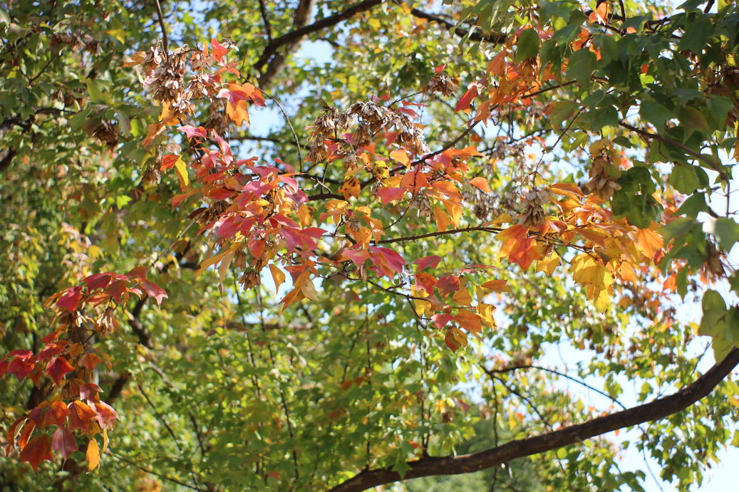 IMG_9933_调整大小.JPG