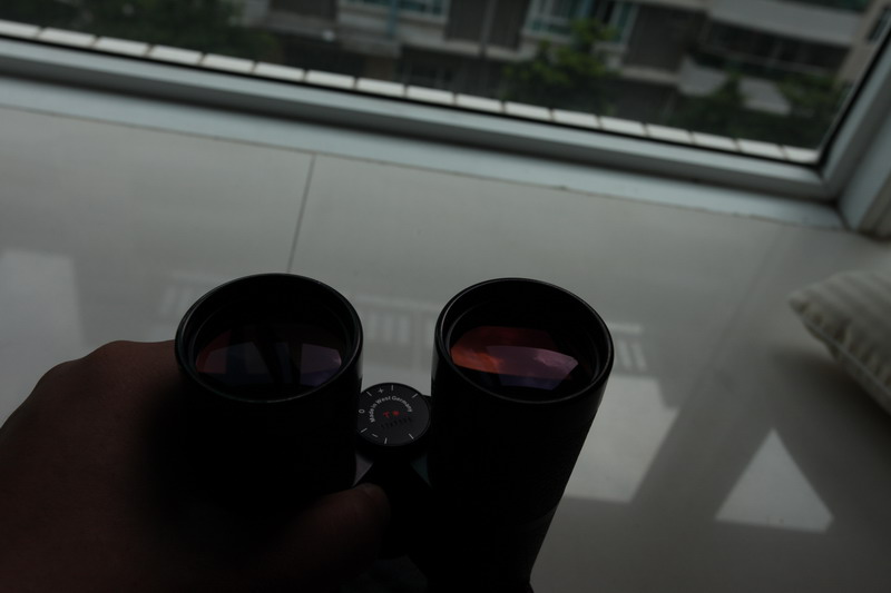 IMG_4666_调整大小.JPG