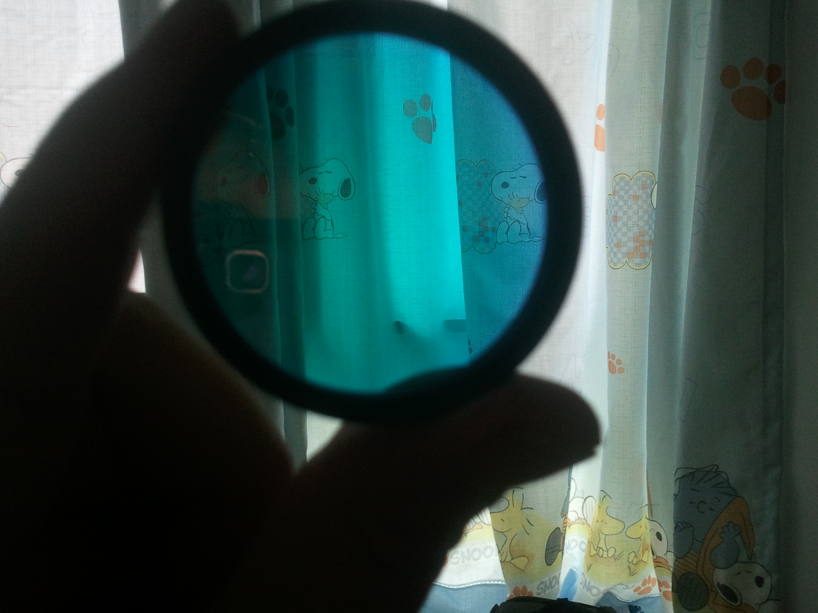 2012-11-04 13.45.52.jpg