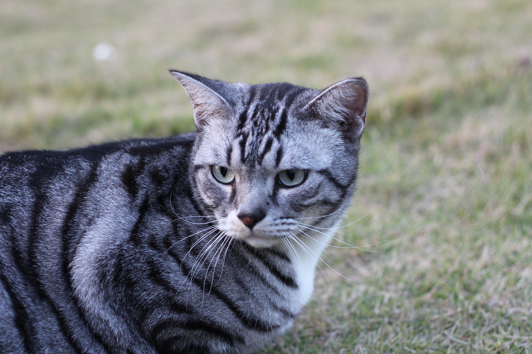 IMG_9773_调整大小.JPG