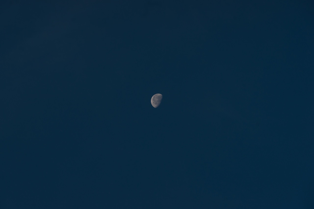 _DSC1746-2.jpg