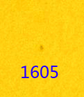 1605.jpg