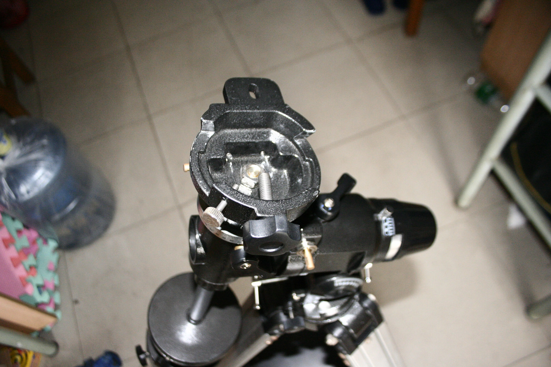 _MG_9306.JPG