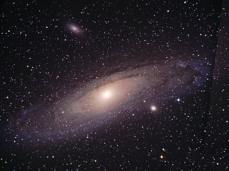 M31