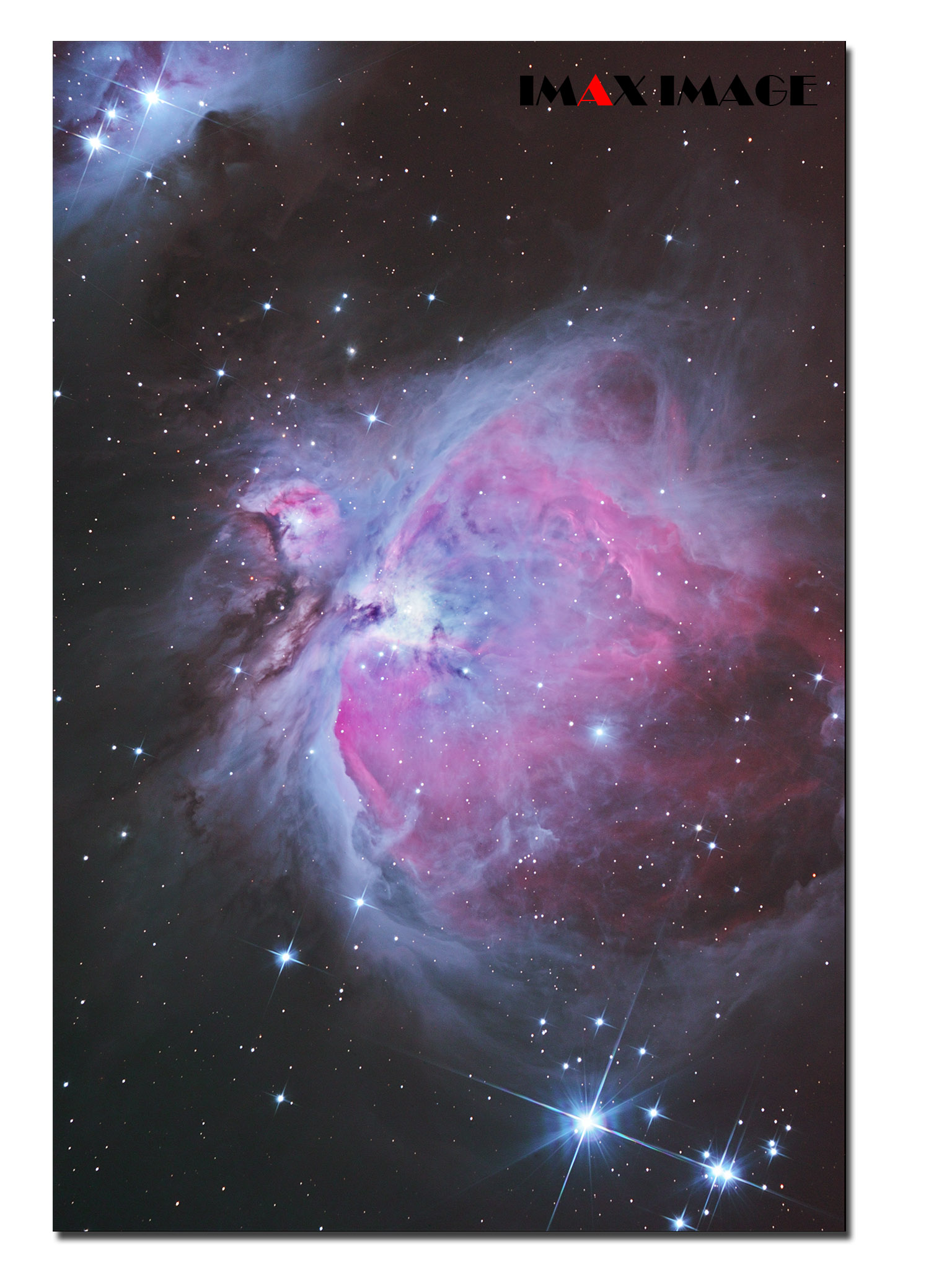 M42竖.jpg