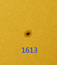 1613.jpg