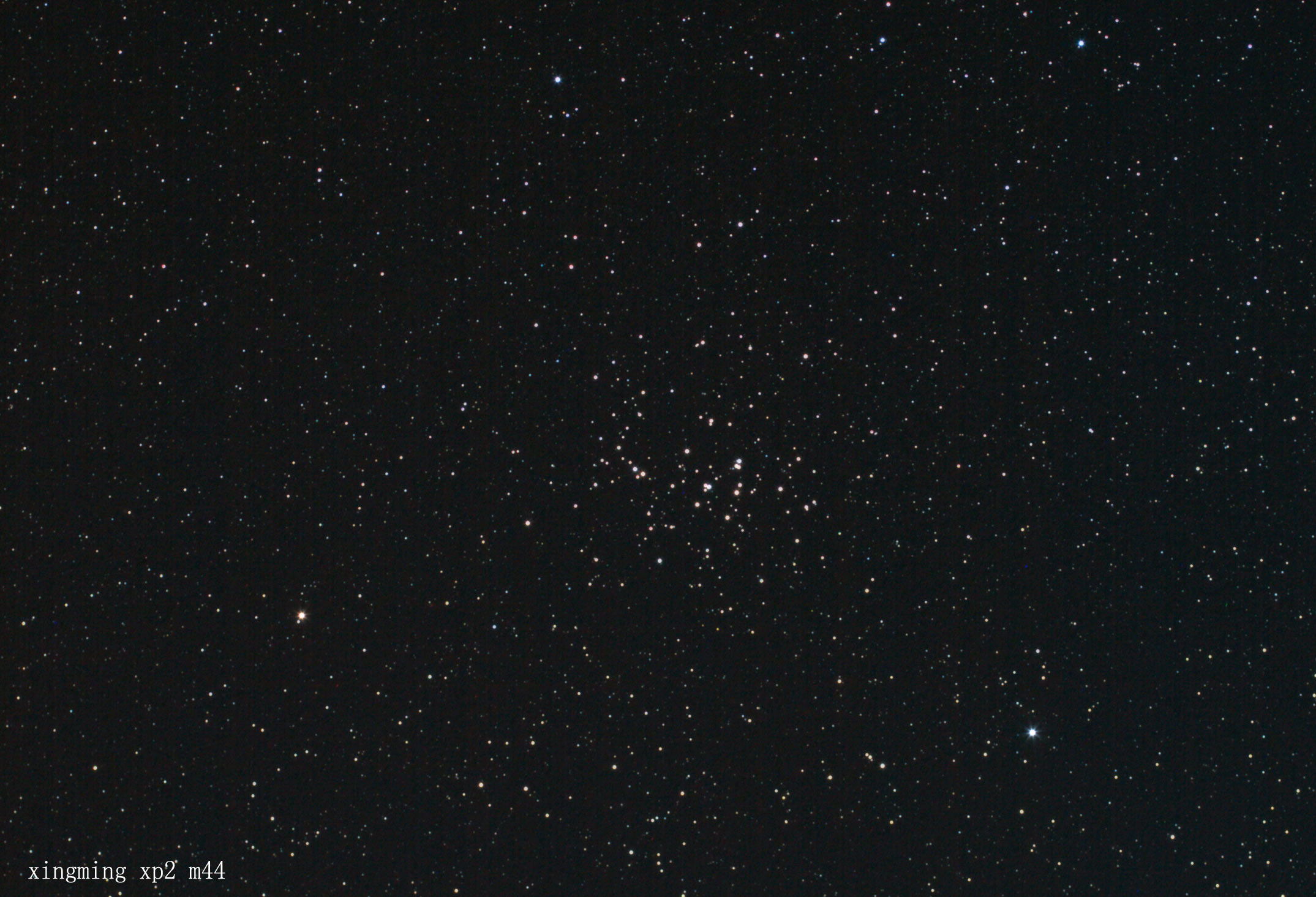 m44 (2).jpg
