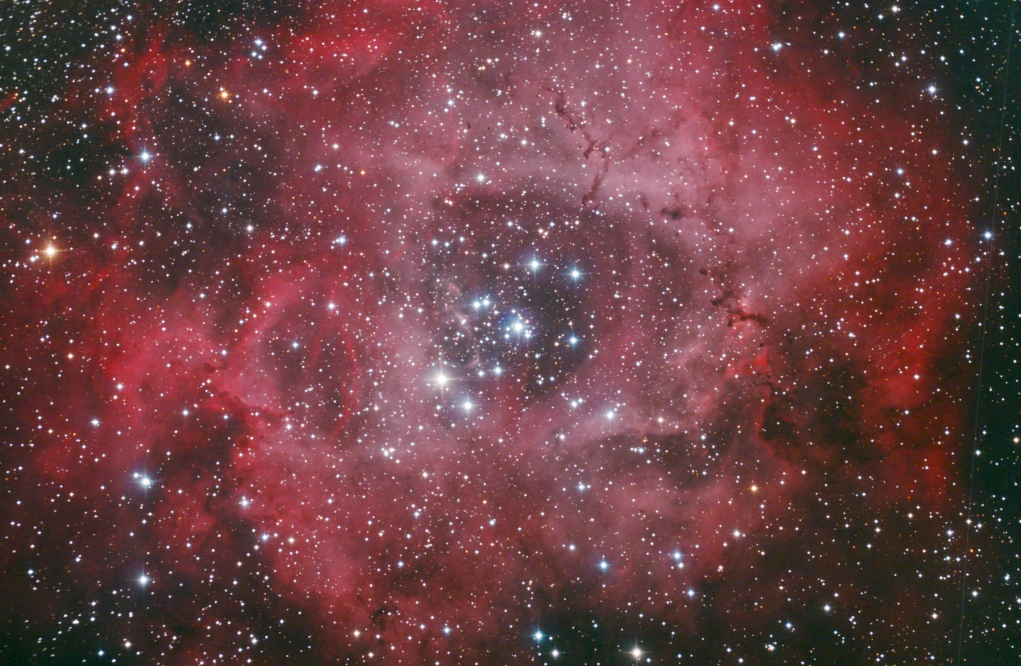 NGC2244.jpg