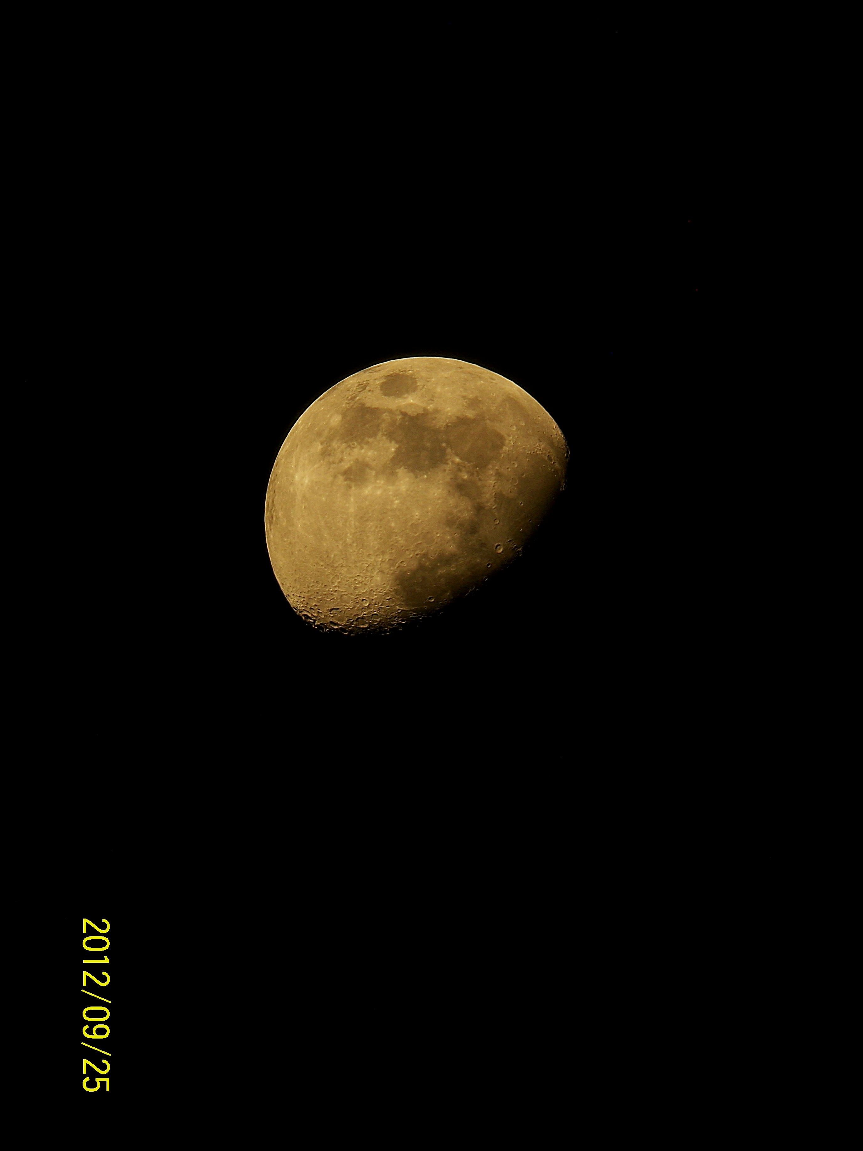 201209月龄10.jpg