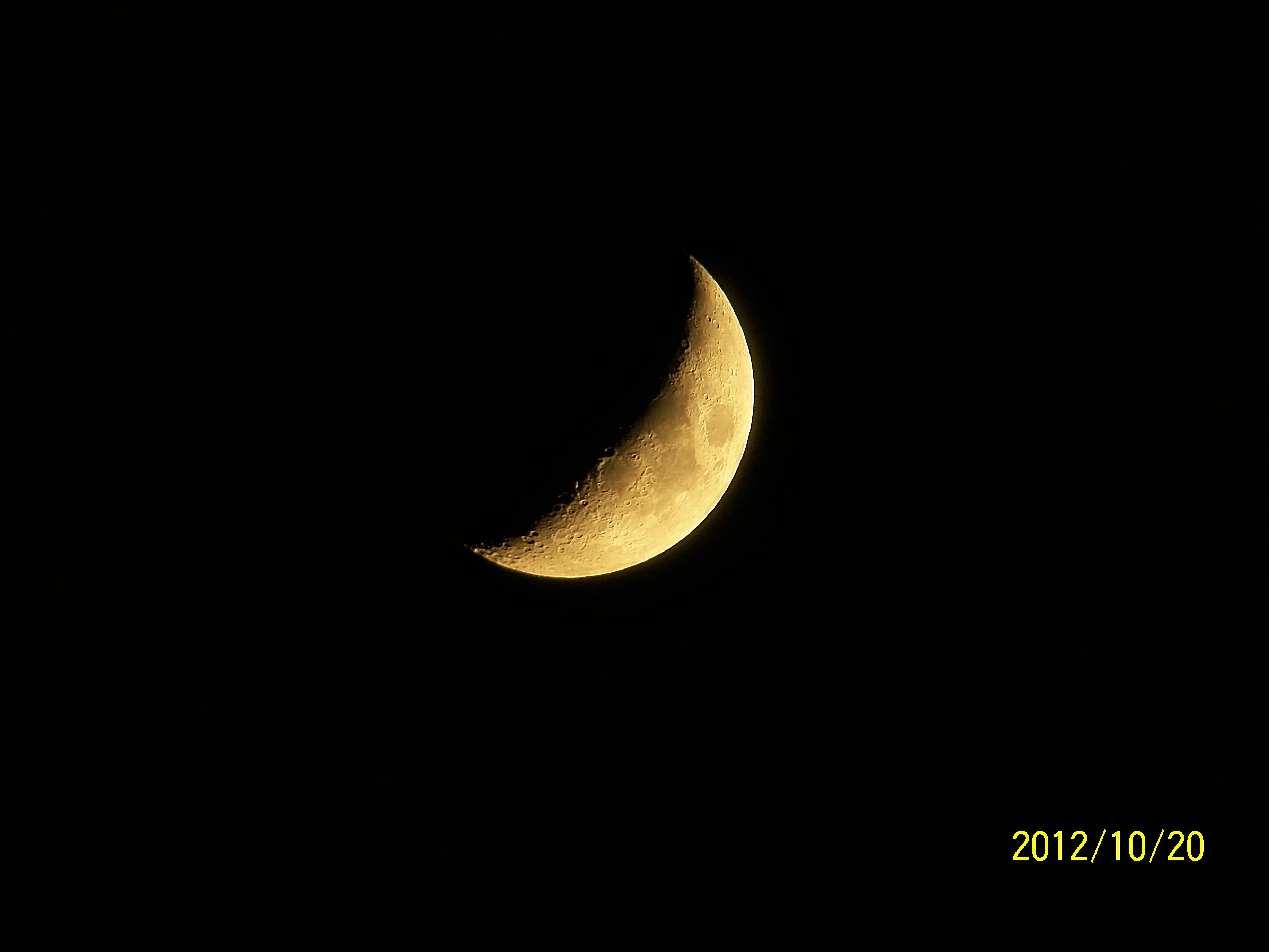 201210月龄6.jpg