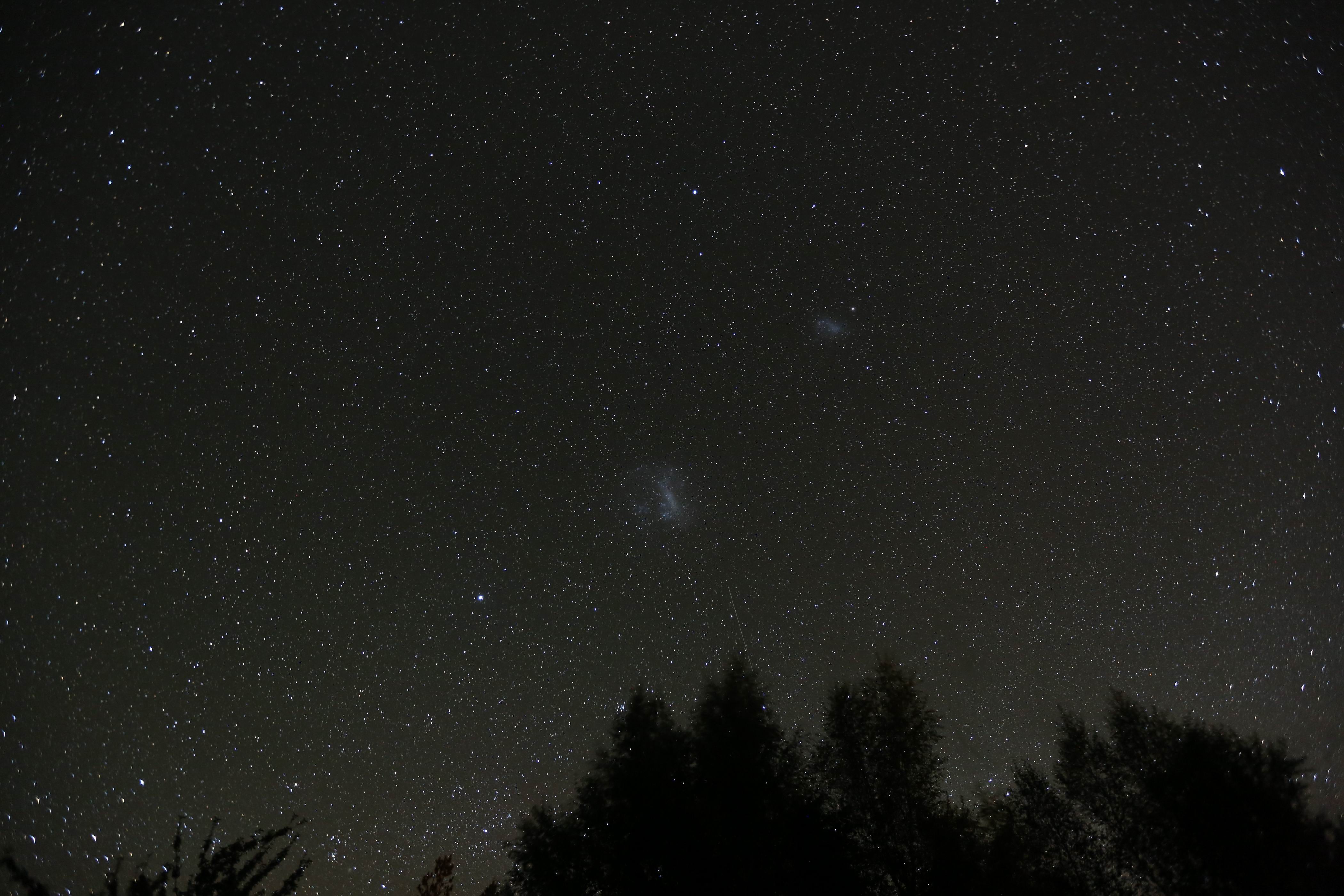 Resize of 2P8A0925.JPG