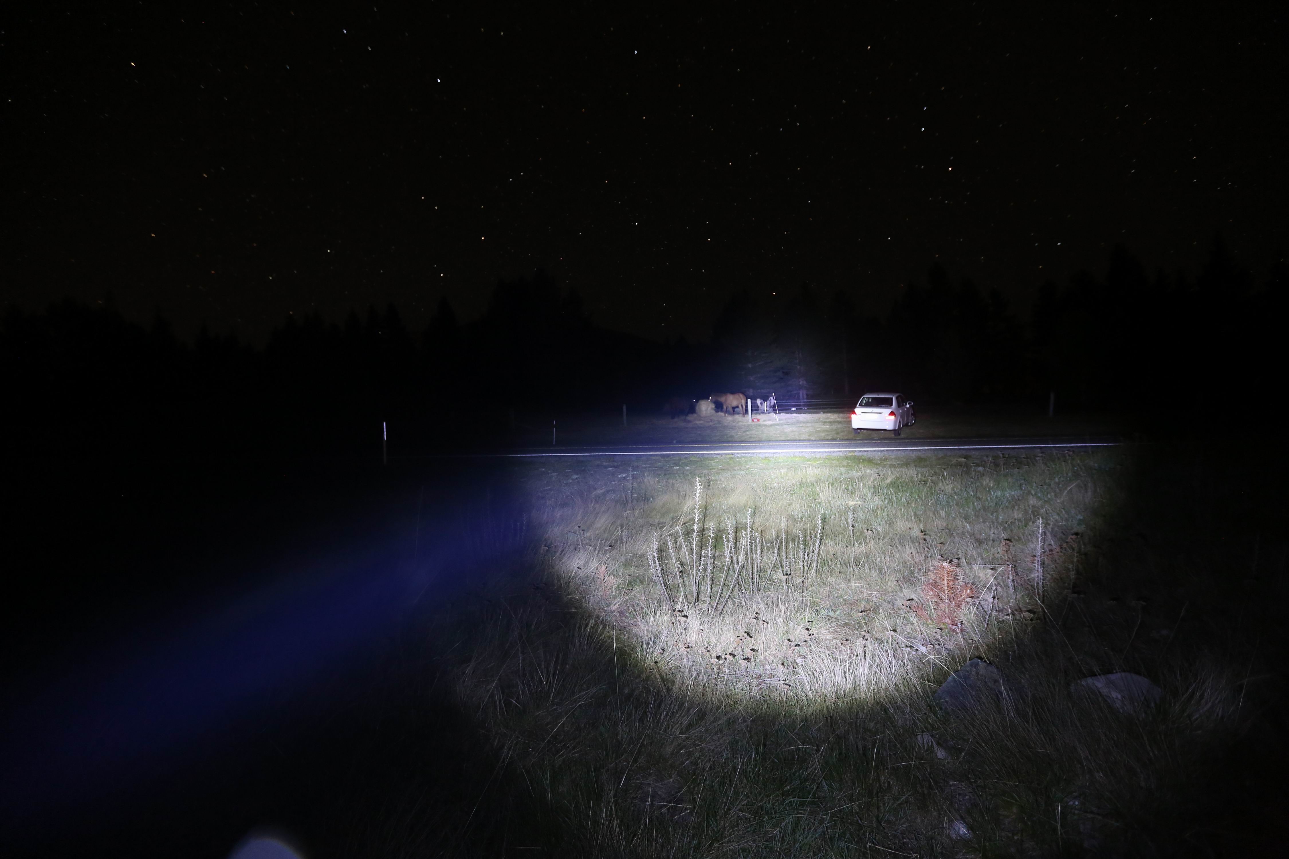 Resize of 2P8A0911.JPG