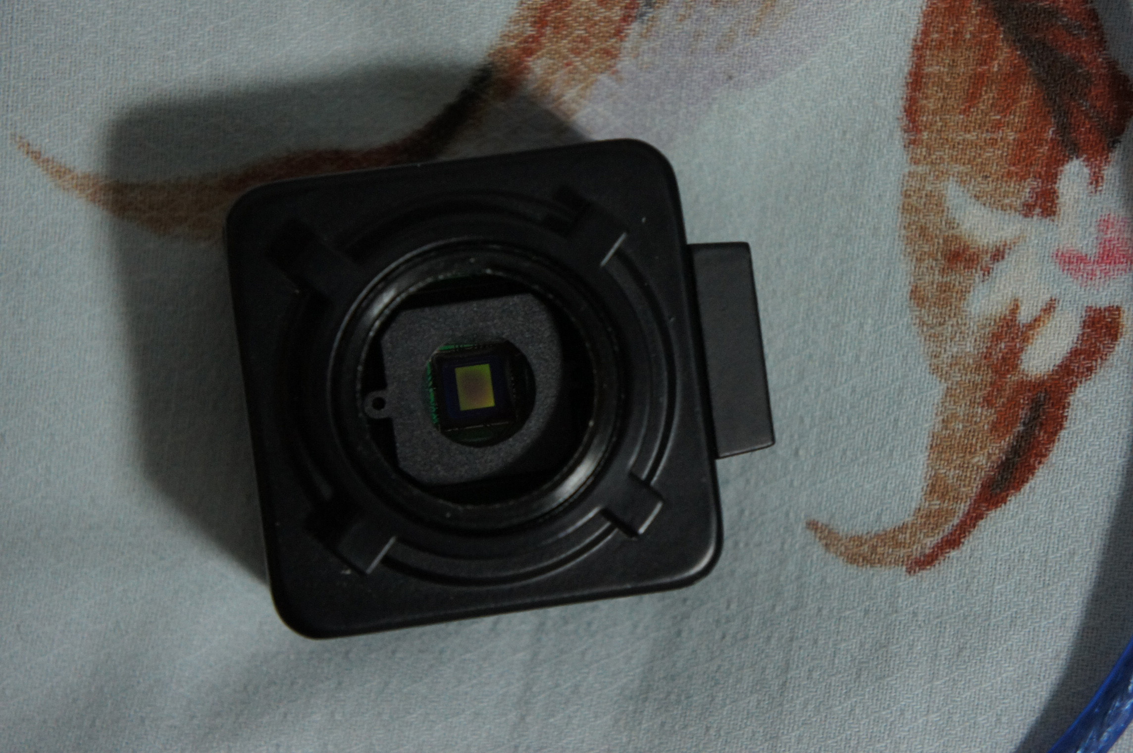 DSC00030.jpg