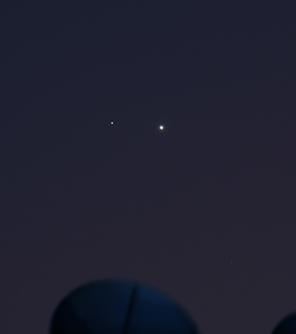 DSC_296811.jpg