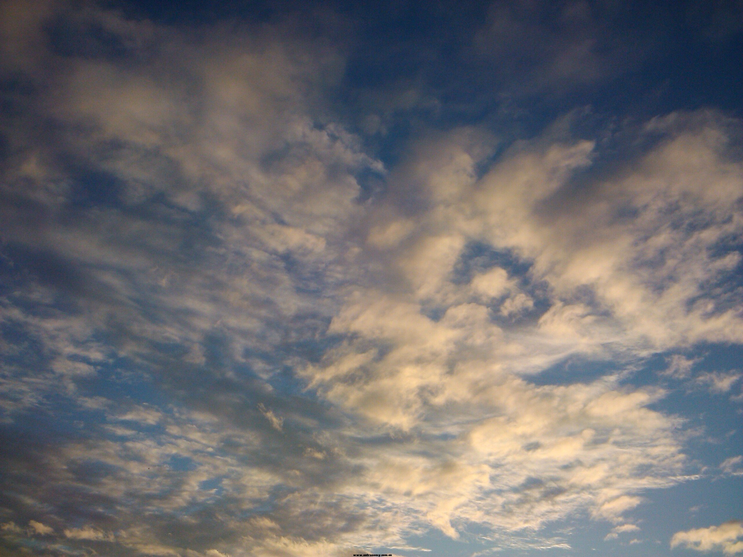 IMG_20121120_173027.jpg