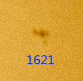 1621.jpg