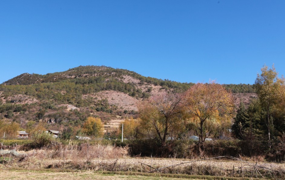 未命名3.jpg