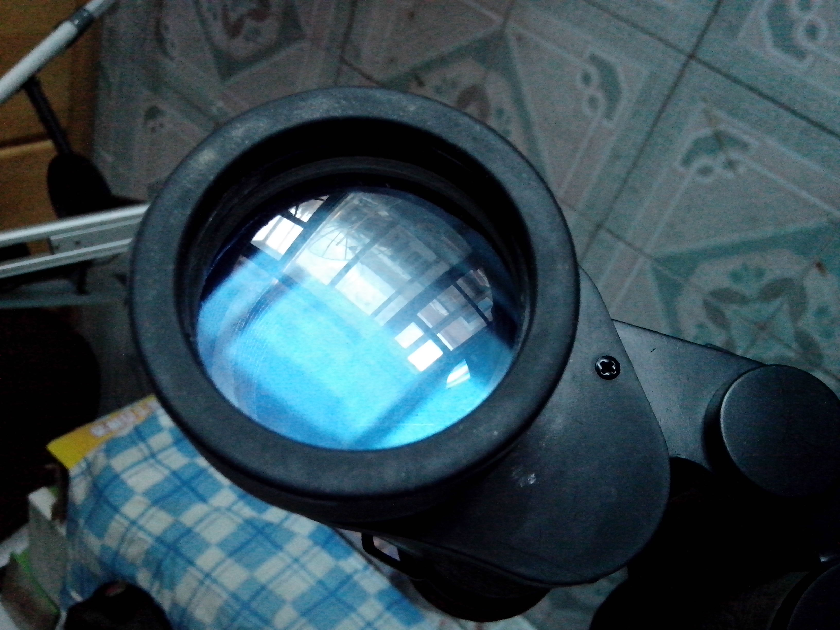 IMG_20121205_152944.jpg