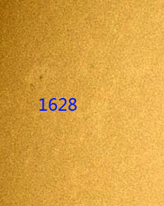 1628.jpg