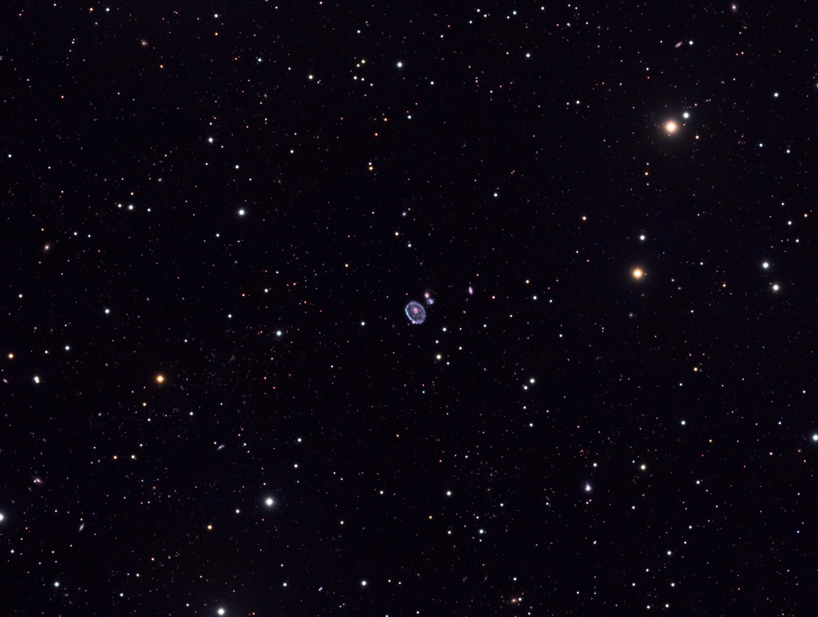 南天系列之七十六:玉夫座车轮星系