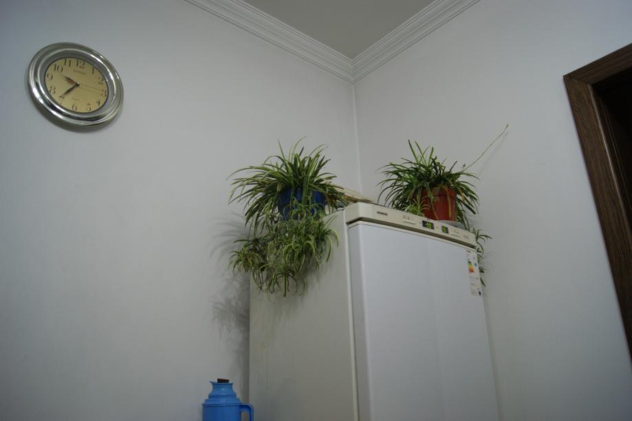 DSC08815.JPG