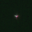 4.gif